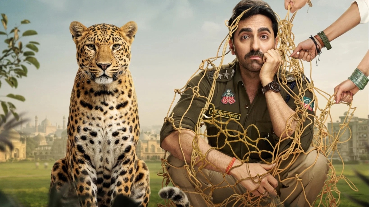 Box Office Report: Pati Patni Aur Woh, Do Chand, Mera Dil, Karuppu, Drishyam 3