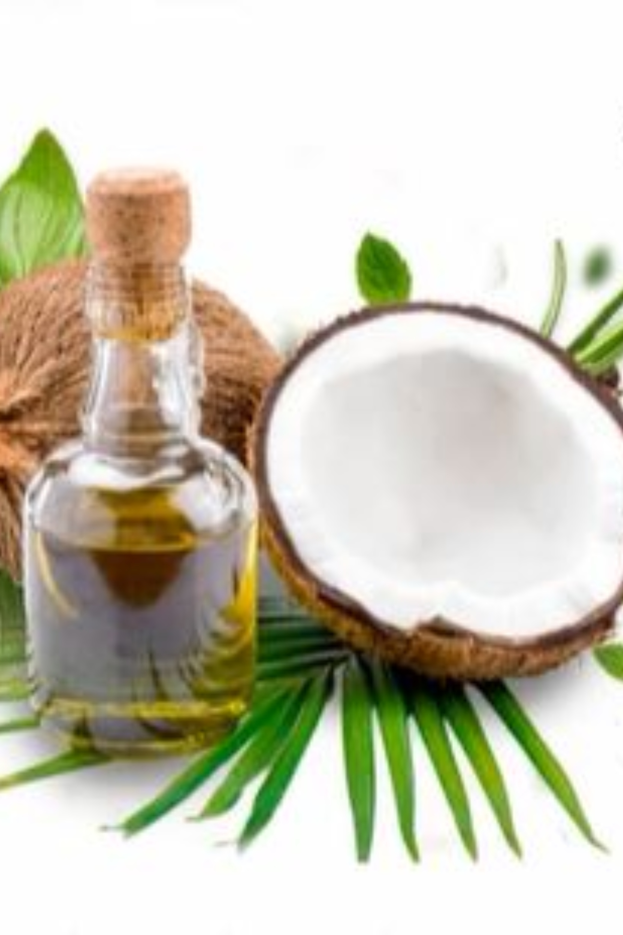 Coconut oil for Hair: Magical benefits that will make your hair strong and  healthy