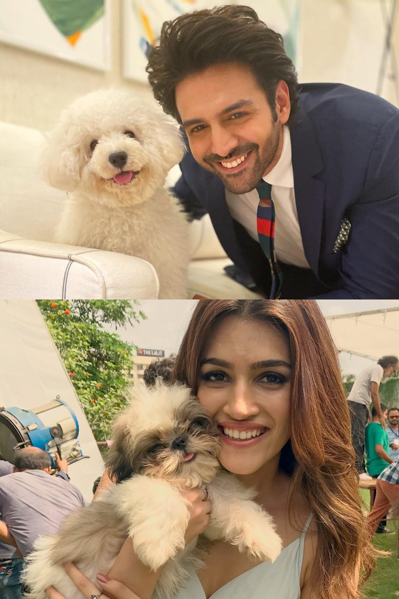 Kartik Aaryan to Kriti Sanon, Bollywood actors who are proud dog parents 