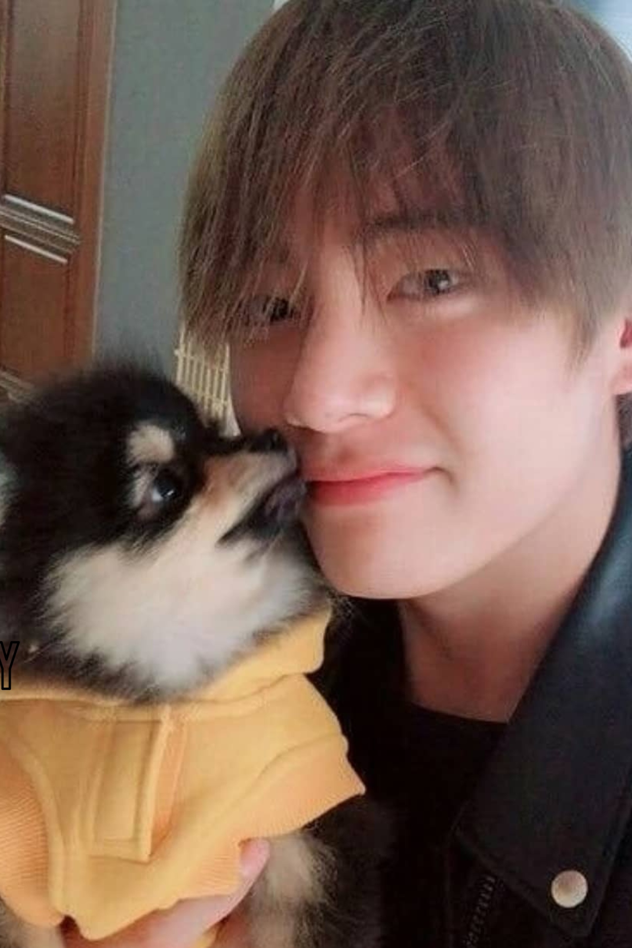 Tae initially introduced his dog Yeontan to the fans on BTS Jin&rsquo;s birthday VLIVE in 2017.