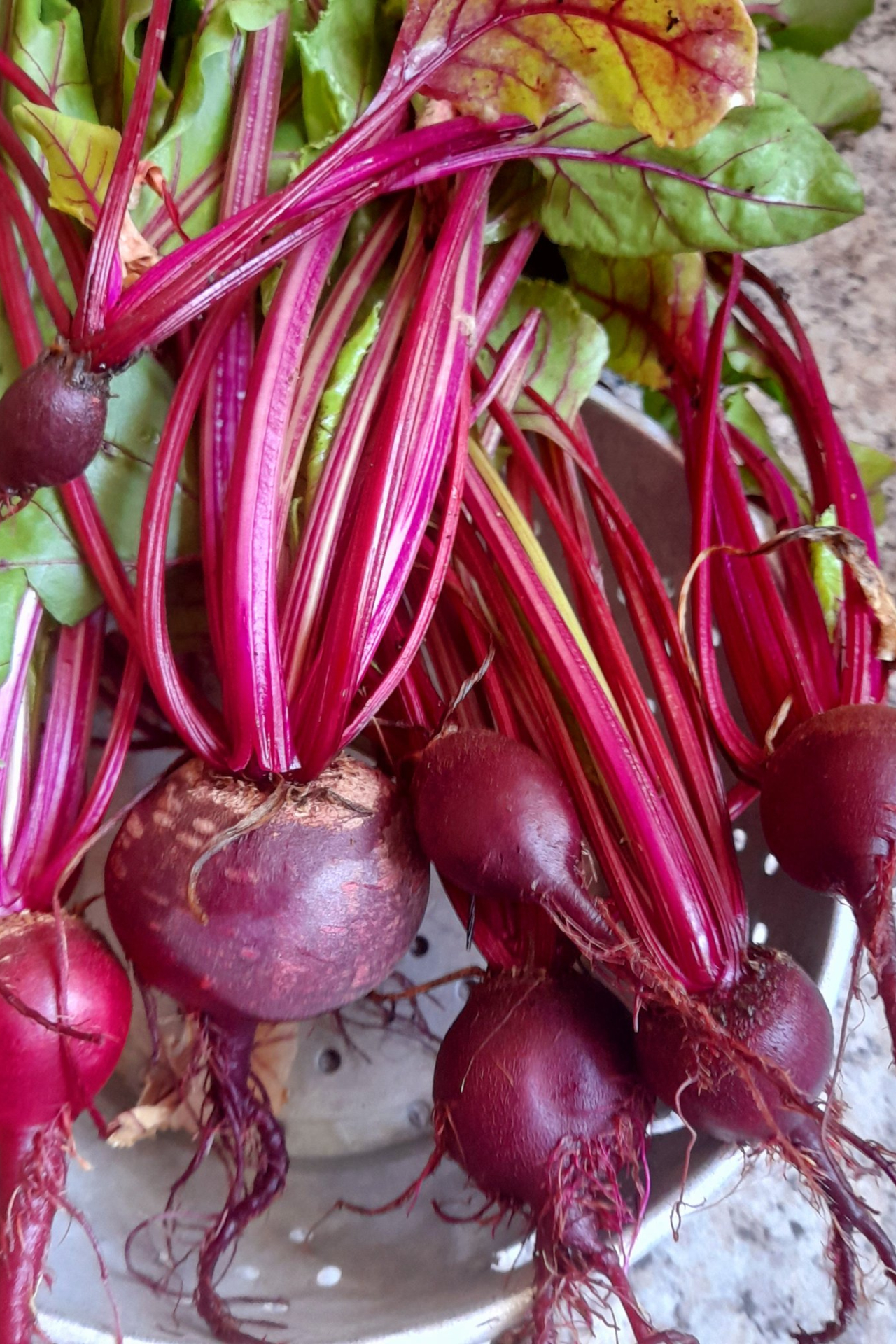 Five health benefits of Beetroot you should know