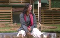 bigg boss 11, arshi khan