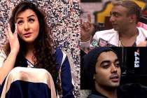 Shilpa Shinde, Akash Dadlani, Luv Tyagi, Bigg Boss 11