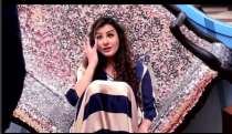 bigg boss 11 shilpa shinde luv tyagi