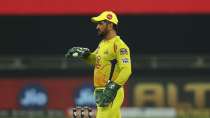 ms dhoni csk ipl 2020