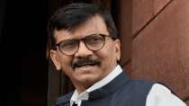 Shiv Sena MP Sanjay Raut at Parliament.