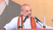 J-K: Amit Shah attacks Congress-NC alliance, says 'they always nourished terrorism'