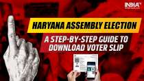 Haryana Assembly Election Voter Slip: A step-by-step guide to download it