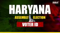 Haryana Assembly Election: A step-by-step guide for first-time voters to find their polling booth