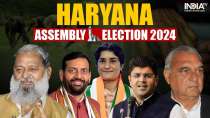 Haryana Assembly Elections 2024: Key constituencies, big contests and candidates