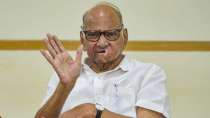 Sharad Pawar's bags checked by EC officials in Maharashtra ahead of assembly elections