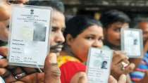 Maharashtra Election: Don't have a voter ID card? You can still vote if you have these documents