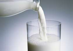 Milk