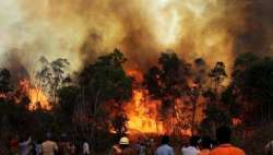 Uttarakhand-fire