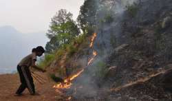 uttarakhand forest fire