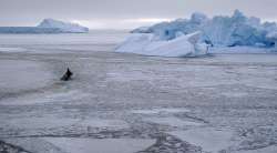 Spring, Arctic, Climate Change