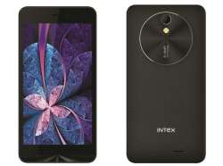 Intex