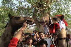 kallo and gopal getting married in a ceremony