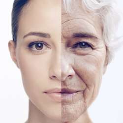 Protein against ageing