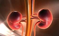 Chronic kidney disease