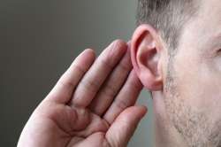 Researchers identified the Brain area that adapts to hearing loss 