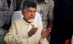 Chandrababu Naidu, Andhra Pradesh, opposition