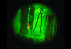 Night Vision