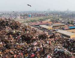 NGT bans open burning of waste