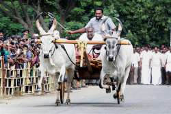  2 dead, 28 injured during Jallikattu at Pudukottai