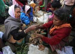 This Assam hamlet has had ‘cashless transactions’ for over 500 years