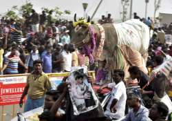 Youngsters and students participate in a protest to lift the ban on Jallikattu