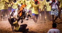 Bill to lift ban on Jallikattu cleared unanimously by Tamil Nadu assembly