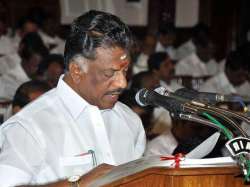 Panneerselvam