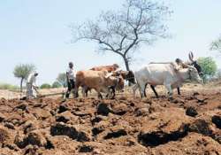 Representational pic - Spell out policies to prevent farmers' suicide: SC 