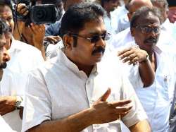 Dhinakaran attacks Palaniswami in show of strength rally