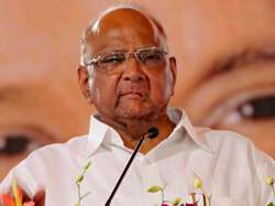 File pic of NCP president Sharad Pawar 