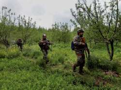 Security forces carry out major search op in Kashmir's Shopian 