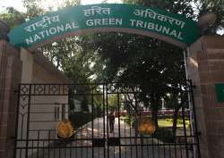  NGT seeks report on cattle blood flowing into Yamuna 