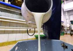 Representational pic - Maha hikes milk procurement prices by Rs 3 per litre