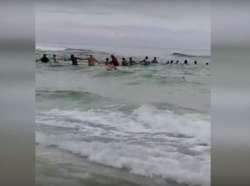 80 people formed human chain to save family