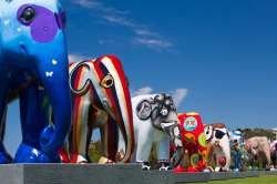 international elephant parade