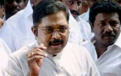 Dinakaran has established a considerable lead in the by-election for R.K.Nagar Assembly constituency ahead of the ruling AIADMK candidate E.Madhusudhanan and others.