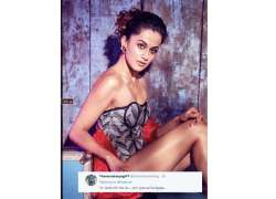 taapsee pannu trolled 