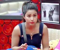 Bigg Boss 11, Hina Khan