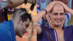 Bigg Boss 11, Priyank Sharma