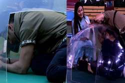 Priyank Sharma, Hina Khan, Luv Tyagi, Bigg Boss 11