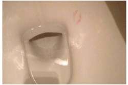 Lipstick stain, toilet bowl, twitter