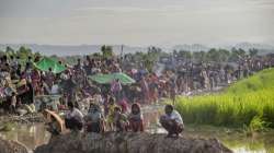 Rohingya refugees in Bangladesh