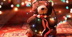 Happy Teddy Day