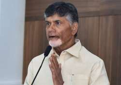 File pic of Andhra Pradesh Chief Minister Chandrababu Naidu